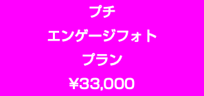 プチ エンゲージフォト プラン ¥33,000